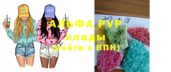 PSILOCYBIN Каменка