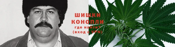 PSILOCYBIN Каменка