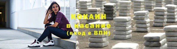PSILOCYBIN Каменка