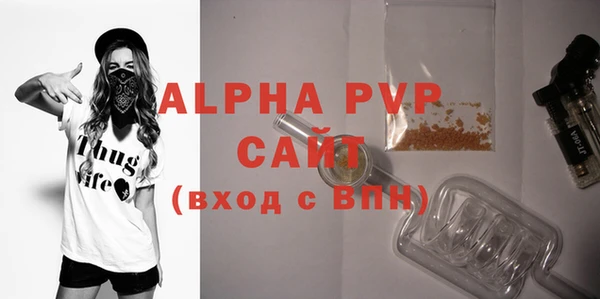 PSILOCYBIN Каменка