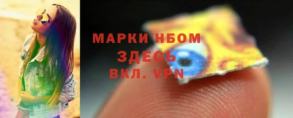 PSILOCYBIN Каменка