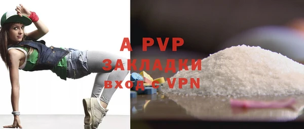 PSILOCYBIN Каменка