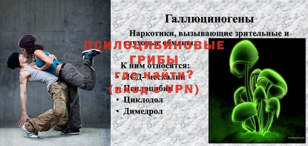 PSILOCYBIN Каменка